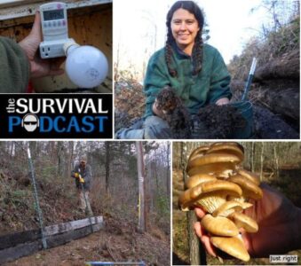 Terrace Support Structure and Picking Ripe Mushrooms Image